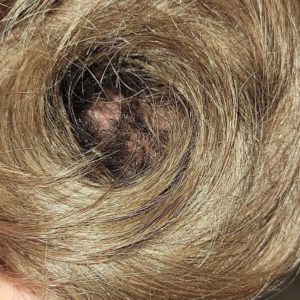 Feshfen Human Hair Bun
